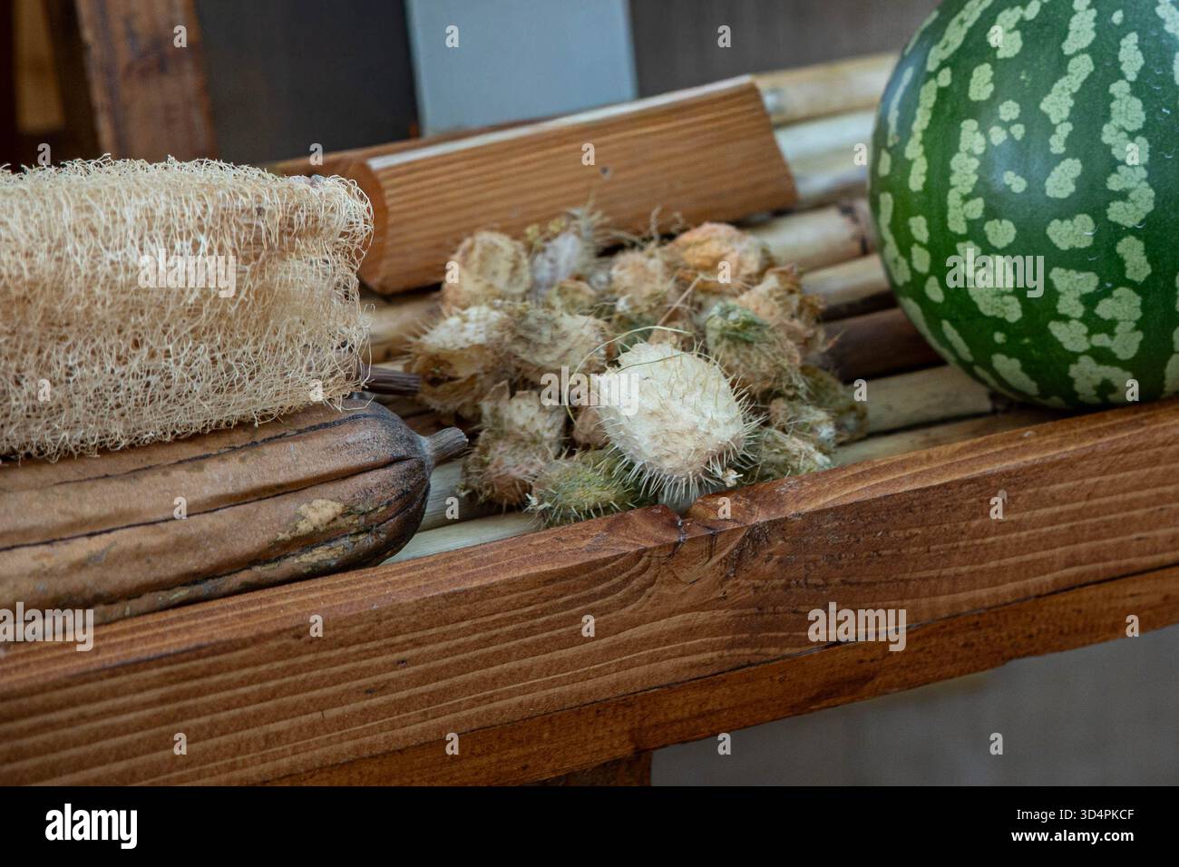 Tavolo in legno che mostra una spugna di luffa, banana secca, cialde di semi d'India e parte di un anguria. Il luffa, usato come scrubber naturale. Foto Stock