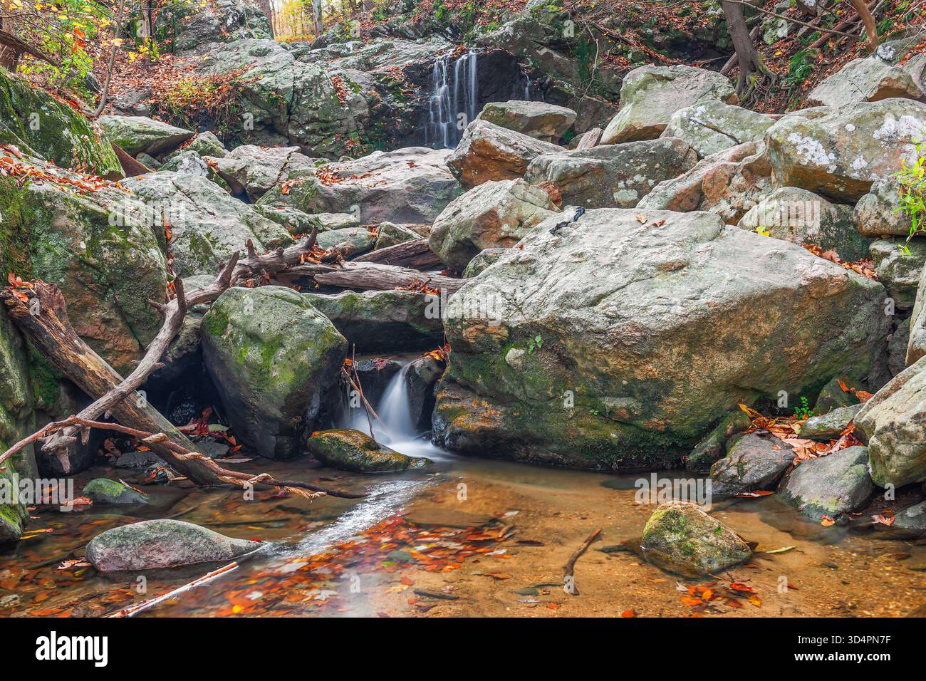 Cascate Cascade. Parco statale di Patapsco Valley. Autunno. Città di Ellicott. Maryland. STATI UNITI Foto Stock