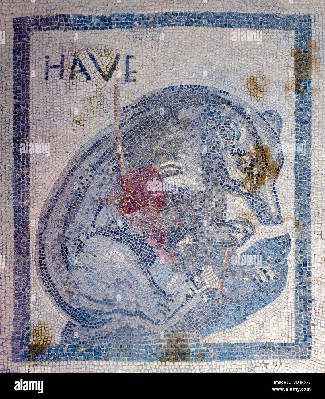 Orso mosaico apotropaico all'ingresso della Casa dell'Orso ferito, Casa dell'orso Ferito, Pompei, Italia Foto Stock