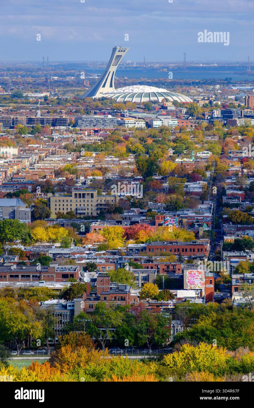 Skyline di Montreal dal Monte Royal, vista sopraelevata dello Stadio Olimpico di Montreal, stagione autunnale, Provincia di Quebec, Canada Foto Stock