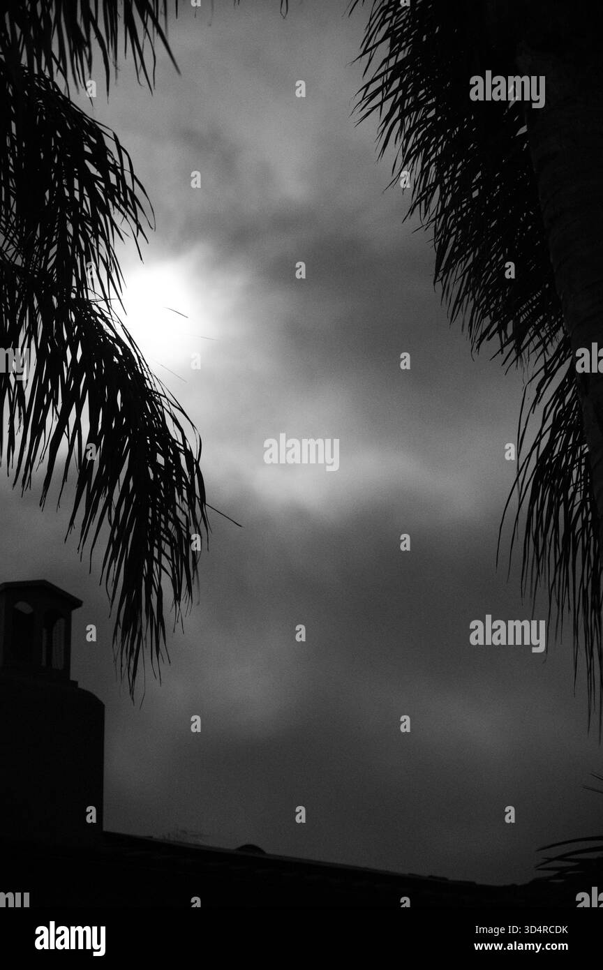 Tranquillo paesaggio all'alba con alberi ed edifici distanti illuminati dalla luce soffusa del mattino, una tranquilla scena di viaggio Foto Stock