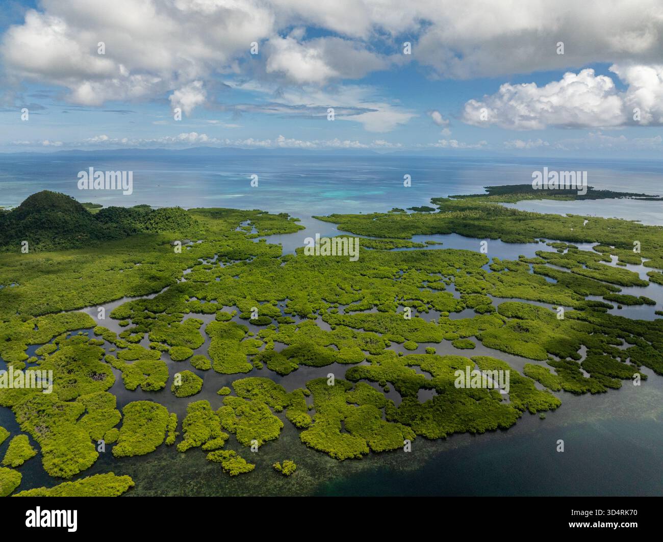 Costa di mangrovie con macchie verdi sparse che si fondono nel mare blu sotto le nuvole. Siargao, Filippine. Foto Stock