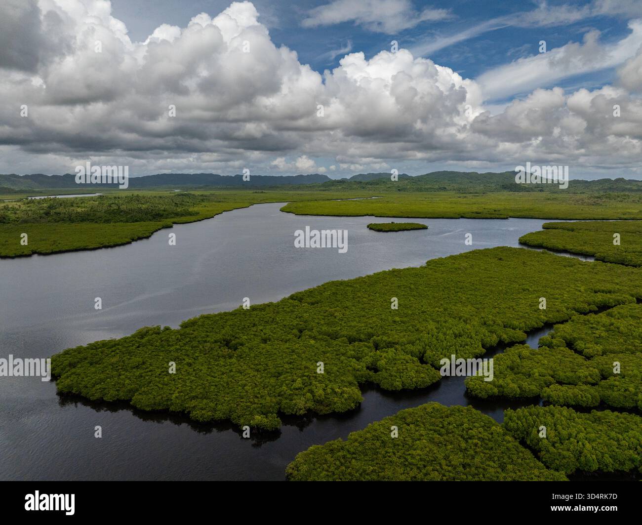 Una fitta foresta di mangrovie circonda un tortuoso canale fluviale sotto un cielo nuvoloso. Siargao, Filippine. Foto Stock