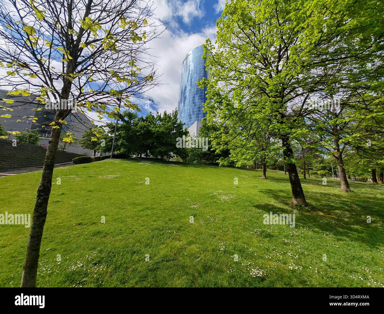 Prato verde del parco con alberi e moderno grattacielo sullo sfondo Foto Stock