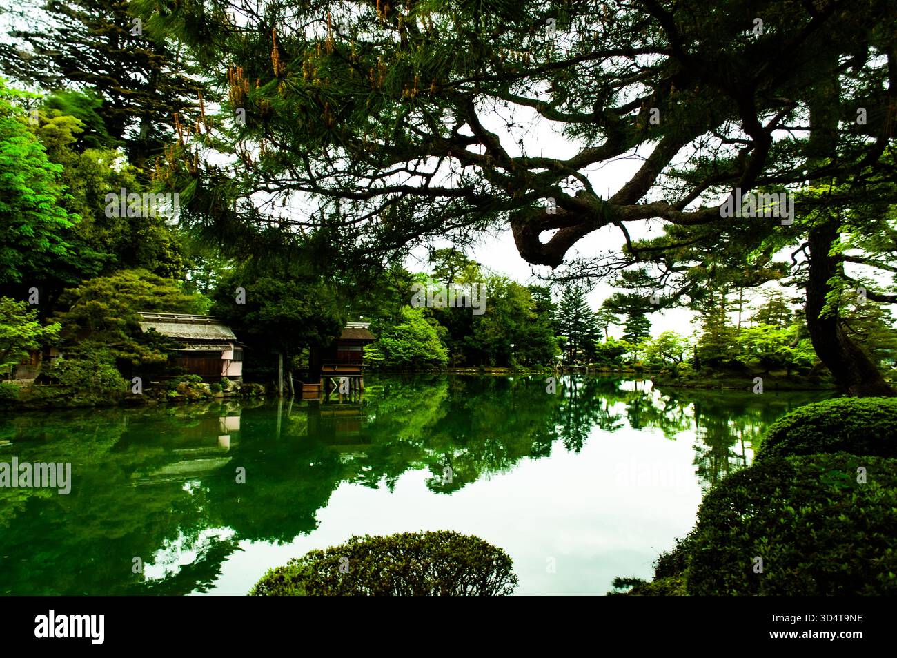 Tradizionale giardino giapponese con alberi lussureggianti che si riflettono su un tranquillo lago. Foto Stock