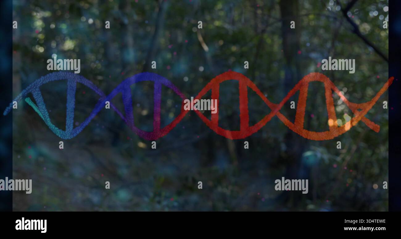Nastro luminoso a doppia elica in DNA traslucido che copre la schiarita e le macchie di colore sparse Foto Stock