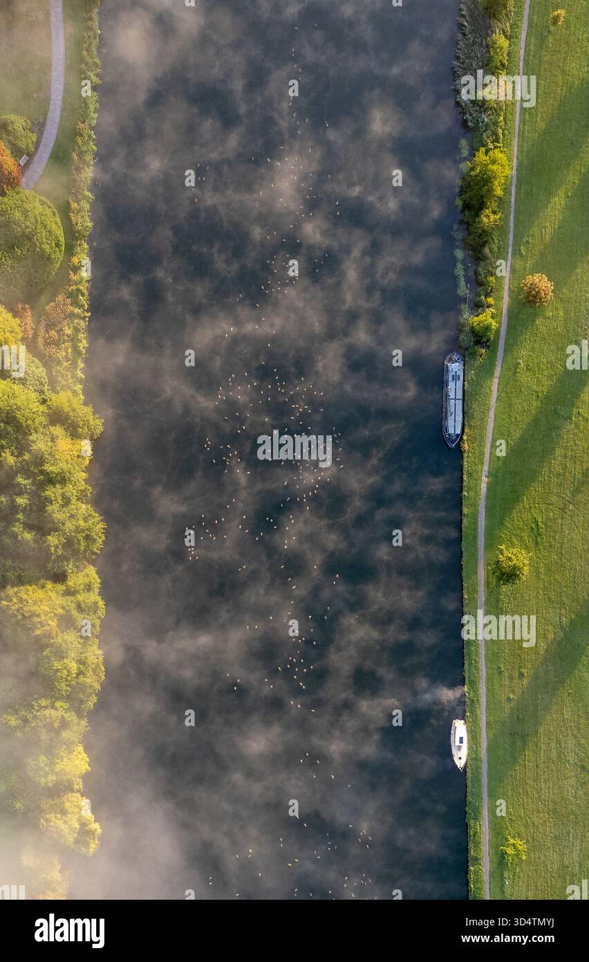 Vista aerea della nebbia che si snoda sulle acque scure del Tamigi, delimitata da rive e sentieri verdeggianti, le barche ormeggiavano pacificamente, Henley-on- Foto Stock