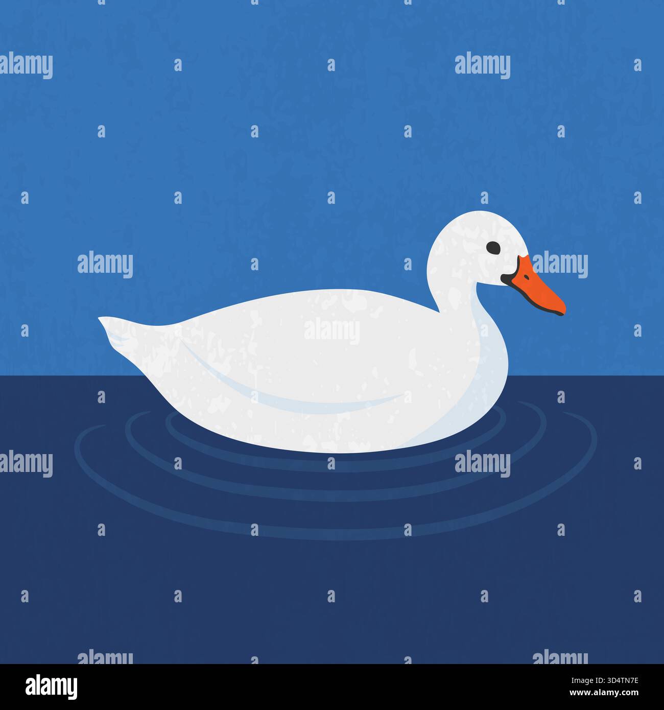 Anatra bianca. Un'anatra sulla superficie dell'acqua. Illustrazione vettoriale Illustrazione Vettoriale