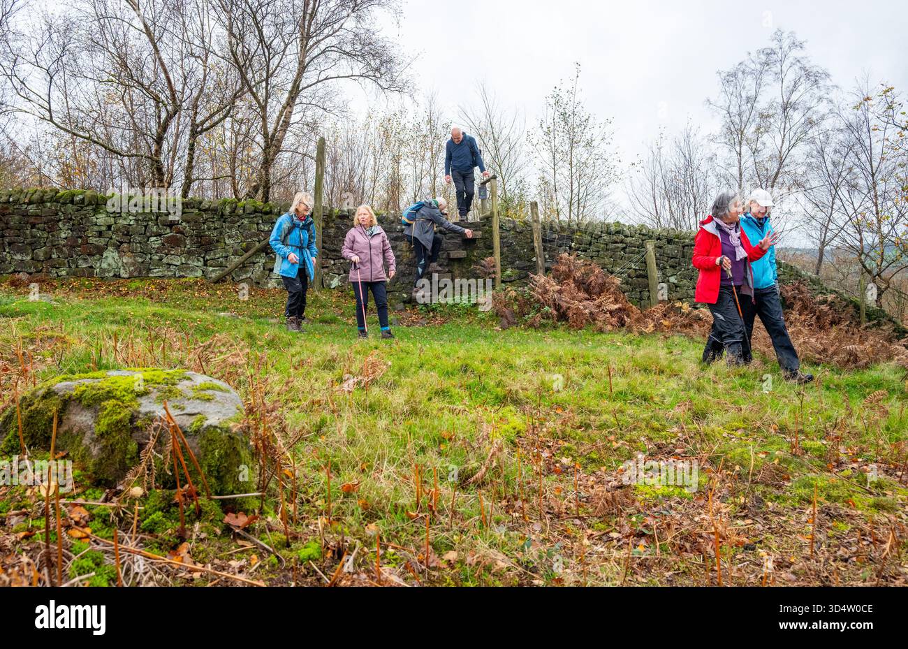 Un gruppo di camminatori che camminano lungo un sentiero e arrampicano su un muro di pietra a secco nel Derbyshire Peak District vicino a Baslow. Foto Stock