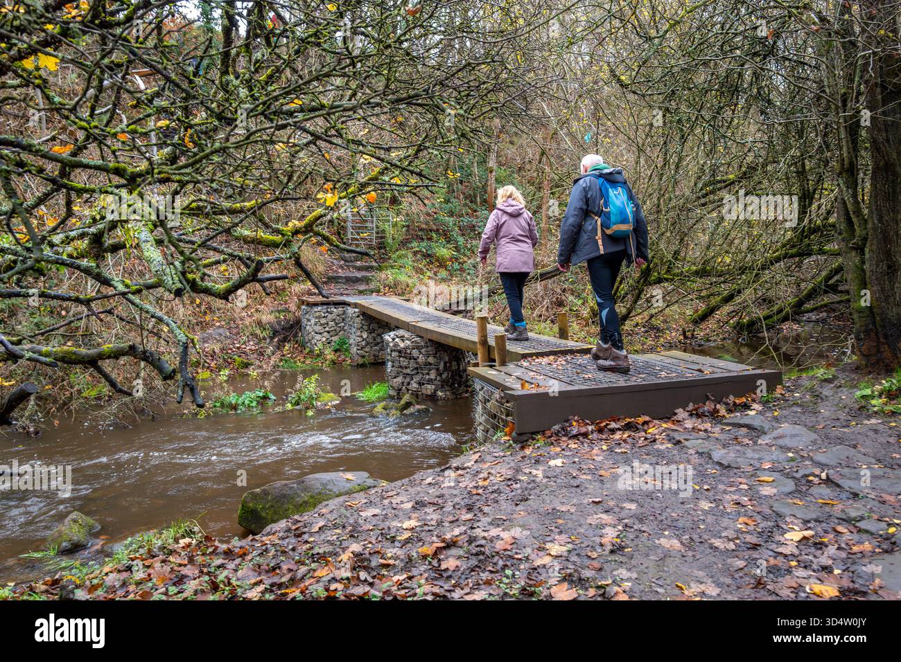 Uomo e donna camminatori che attraversano il sano Brook Lea utilizzando un ponte pedonale fatto di cesti Babion e tavole di legno nel Peak District. Foto Stock