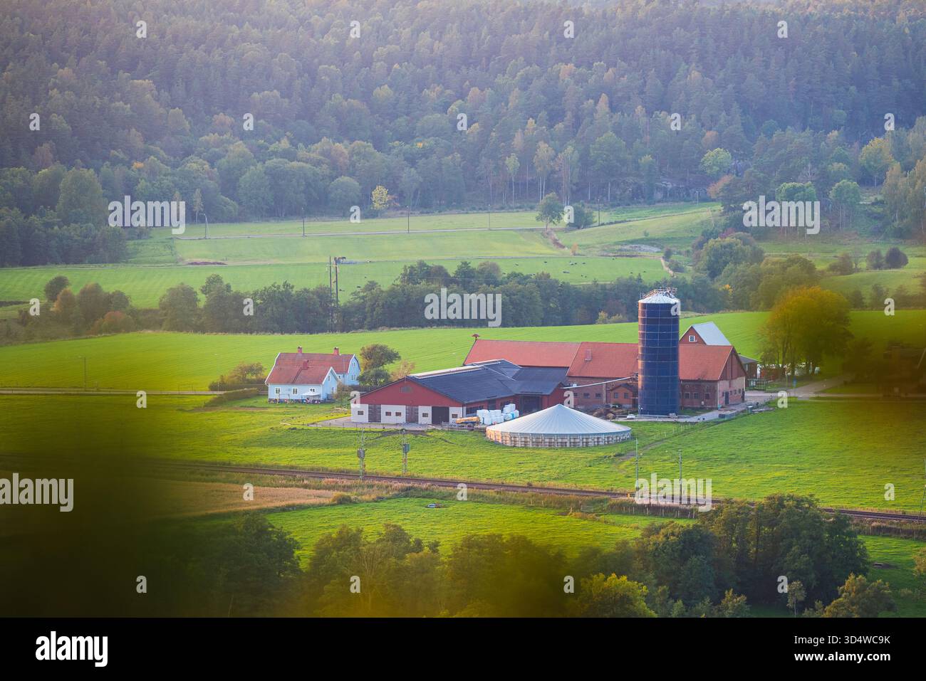 Una tranquilla fattoria vicino a Goteborg presenta campi verdi, tradizionali edifici agricoli e un silo. La luce soffusa del tardo pomeriggio esalta la pace Foto Stock