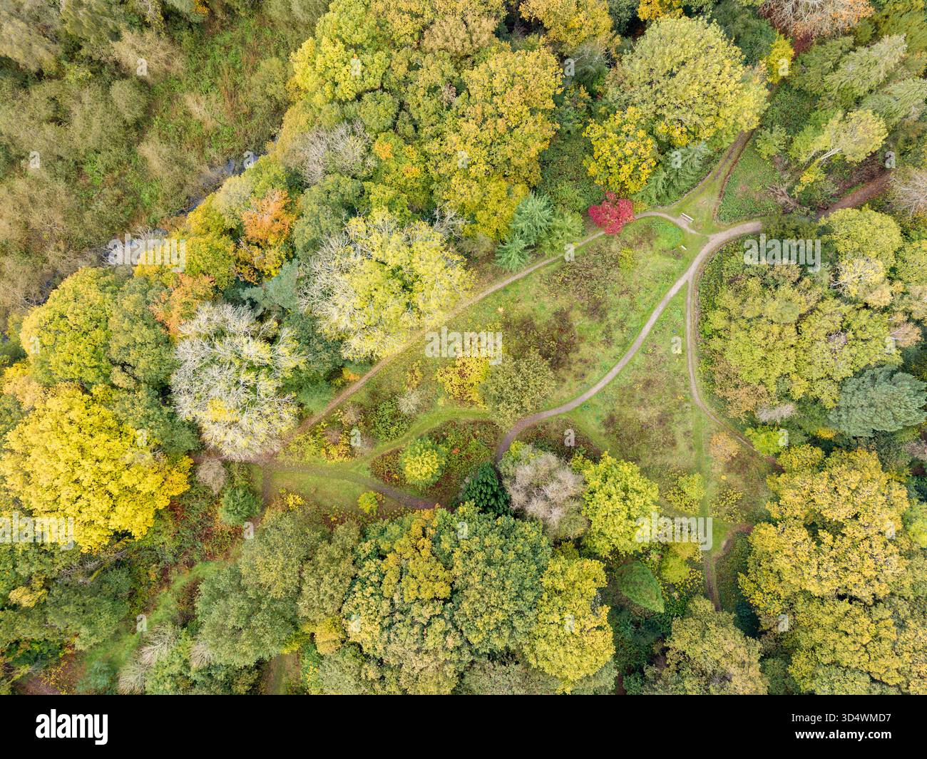 Una vista aerea dall'alto verso il basso dei boschi di Brotherton Park in autunno a Bromborough, Wirral, Inghilterra Foto Stock