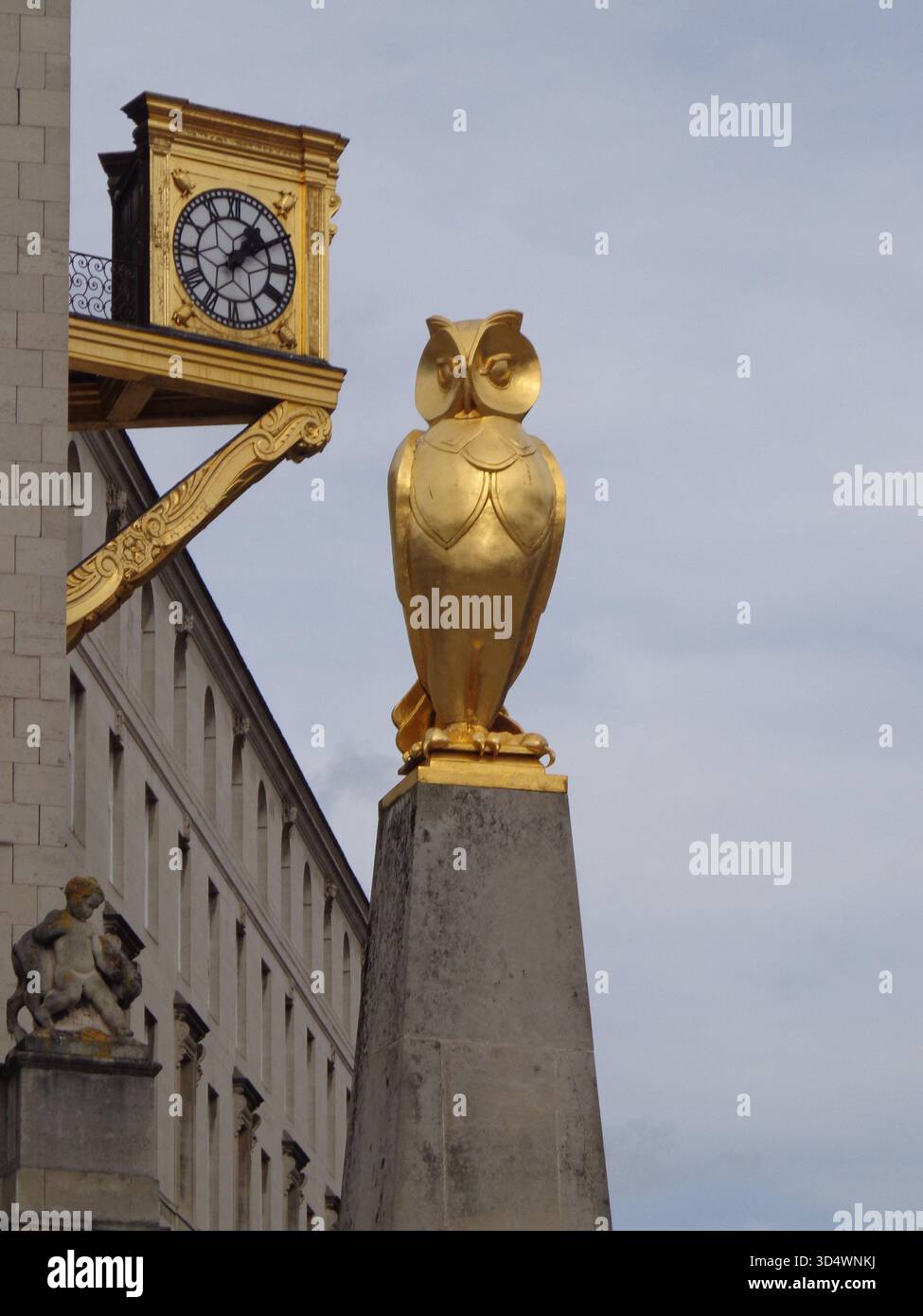 Saggezza e tempo: Il gufo d'oro di Leeds Foto Stock