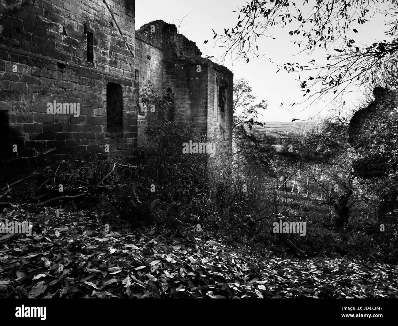 Rovine del castello di Harewood del XIV secolo a Harewood, West Yorkshire, Inghilterra Foto Stock