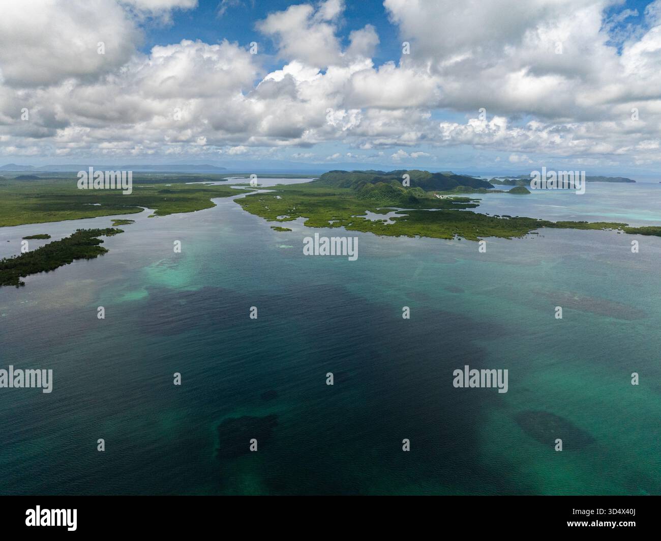Canale del fiume di mangrovie che si estende nel mare aperto con il verde paesaggio costiero. Siargao, Filippine. Foto Stock