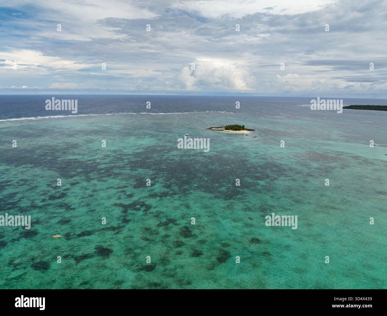 Isola coperta di palme con la barriera corallina circostante e acque cristalline. Isola di Guyam. Siargao, Filippine. Foto Stock