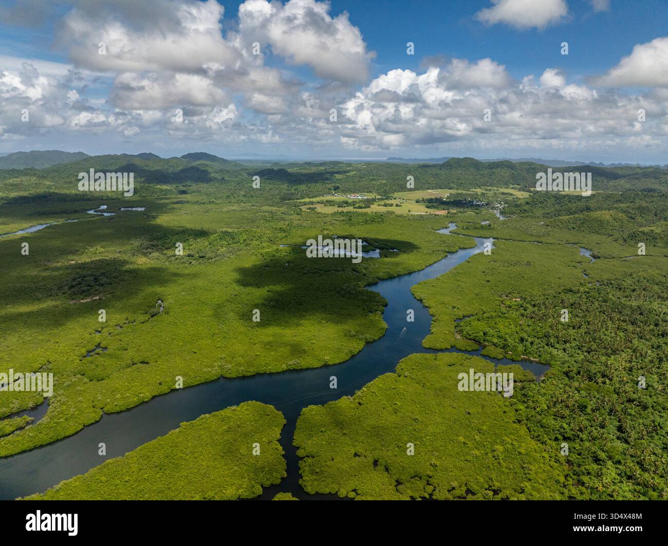 Ampio paesaggio di mangrovie con fiume che scorre verso valle e montagne lontane. Siargao, Filippine. Foto Stock