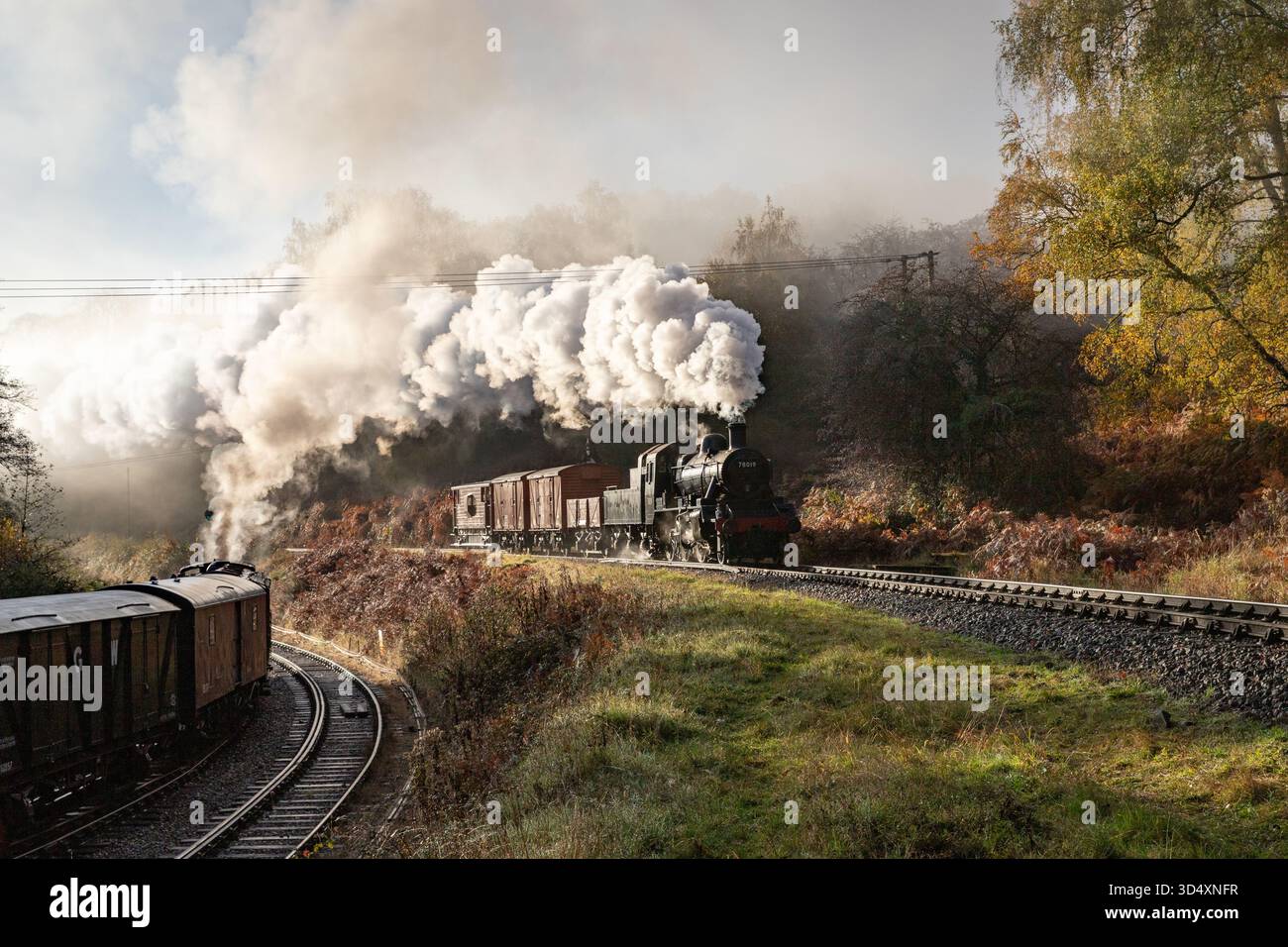 Il treno merci mattutino passa Norchard Rd ad alto livello come un carro armato Pannier nel cortile inferiore Foto Stock