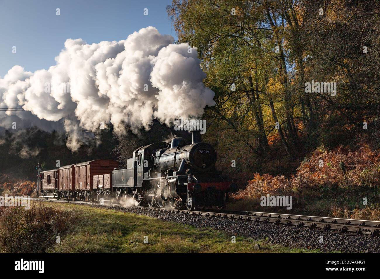Le merci mattutine si fermano tra i colori autunnali della Foresta di Dean Foto Stock
