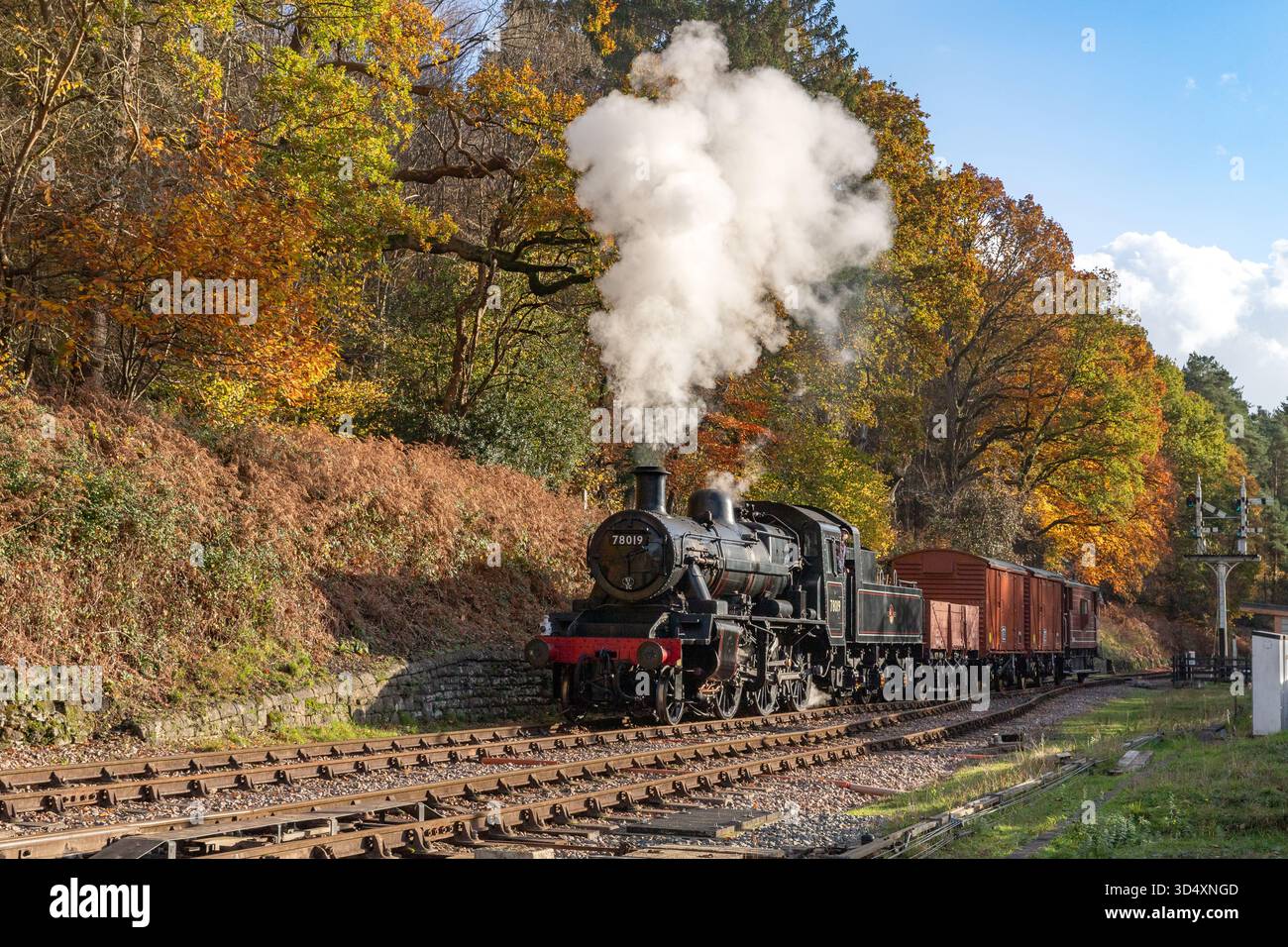 Il treno merci pomeridiano arriva a Parkend tra i colori autunnali della Foresta di Dean Foto Stock