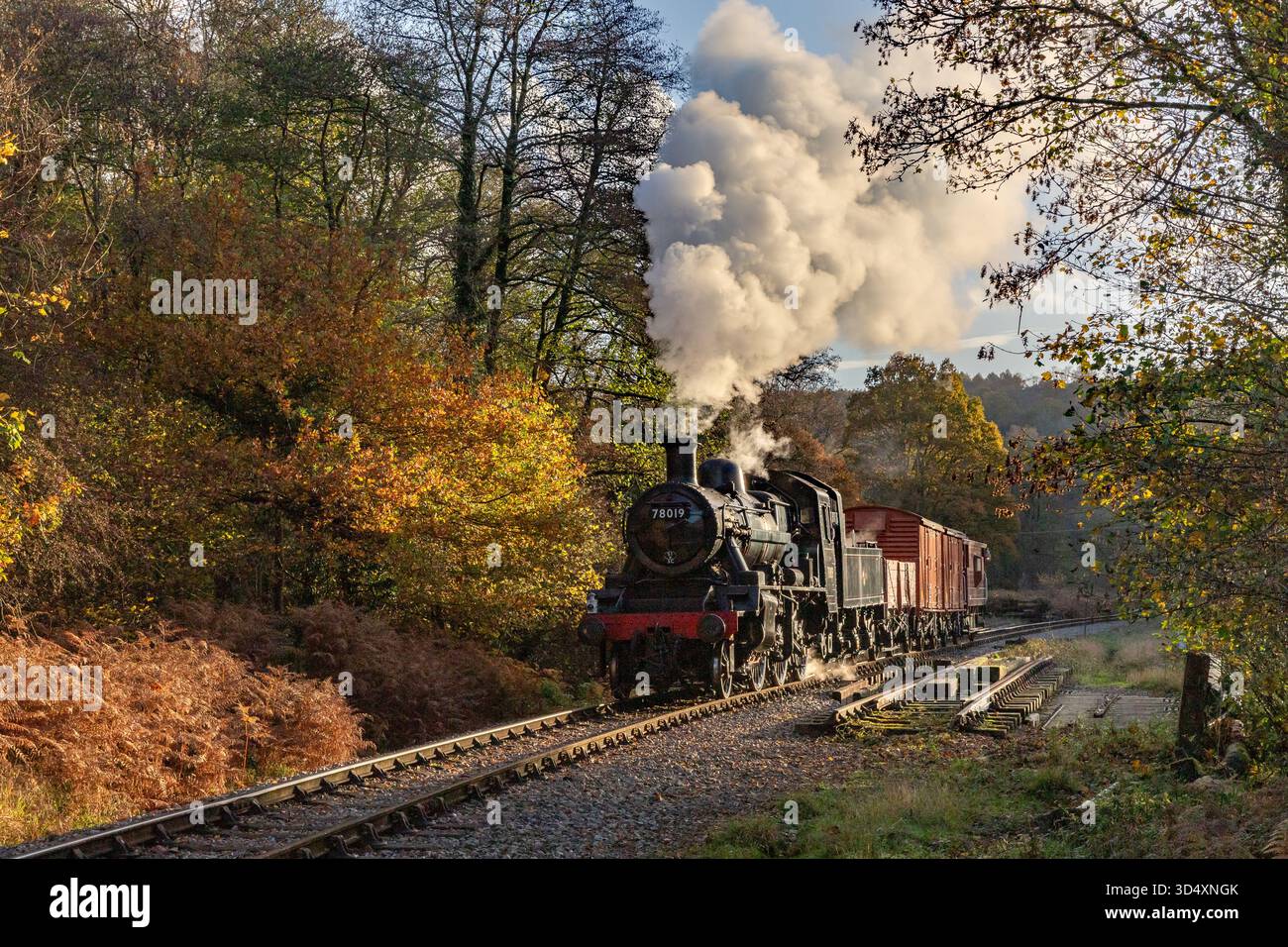Linea di diramazione del Gloucestershire treno merci con 2-6-0 78019 sulla Dean Forest Railway tra i colori autunnali Foto Stock