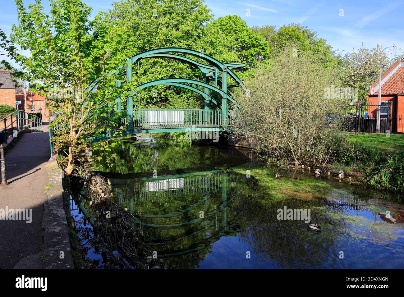 Vista estiva del fiume Slea, Sleaford Market Town, Lincolnshire, Inghilterra, Regno Unito Foto Stock