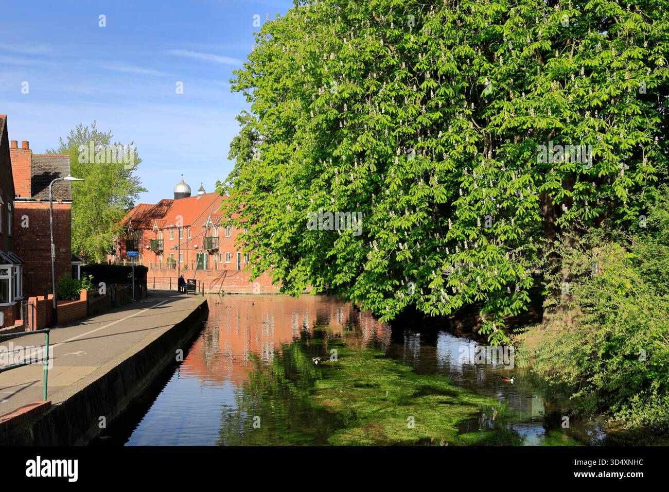 Vista estiva del fiume Slea, Sleaford Market Town, Lincolnshire, Inghilterra, Regno Unito Foto Stock