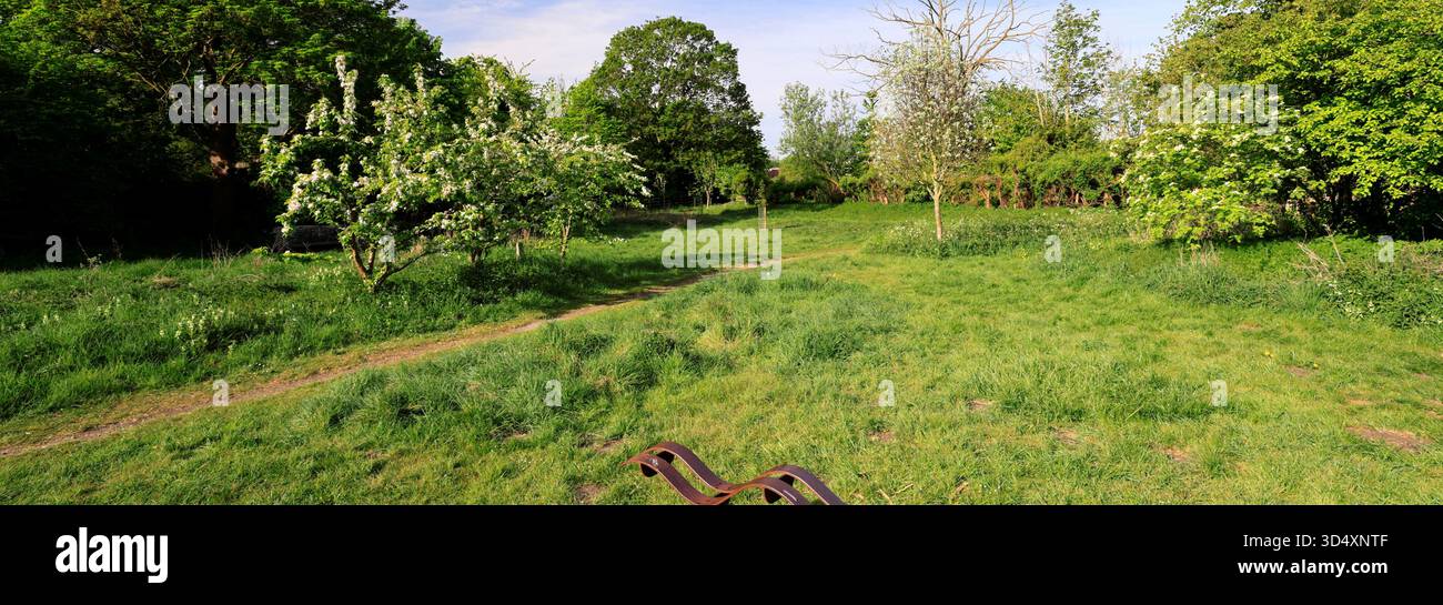 Vista estiva sulla riserva naturale locale di Nettles Field, Sleaford Town, Lincolnshire, Inghilterra, Regno Unito Foto Stock