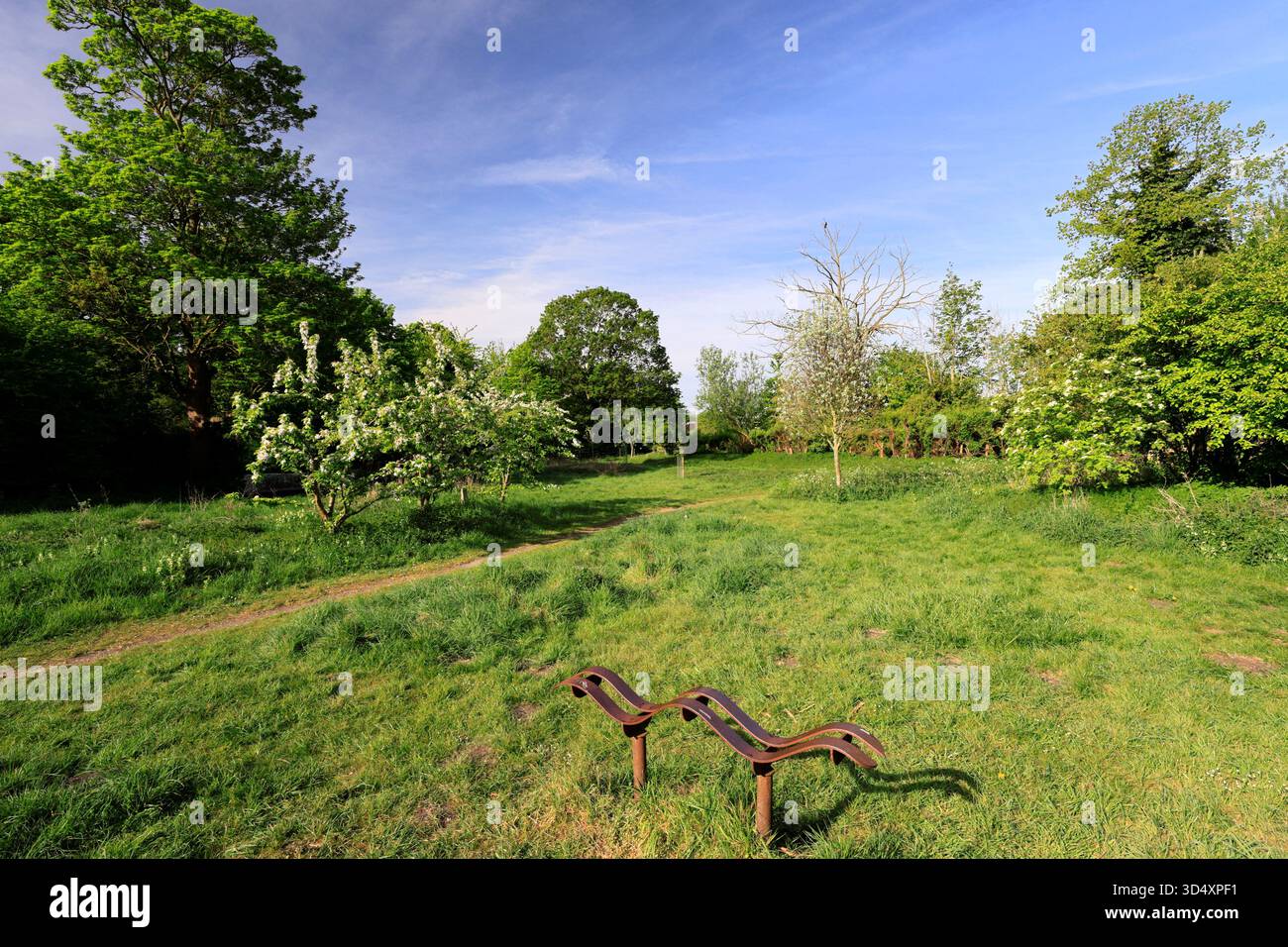 Vista estiva sulla riserva naturale locale di Nettles Field, Sleaford Town, Lincolnshire, Inghilterra, Regno Unito Foto Stock