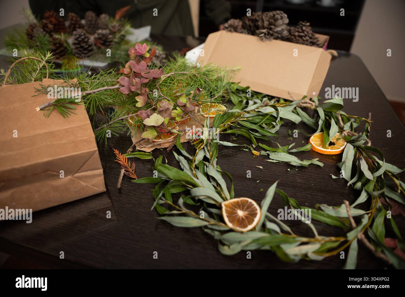 Accogliente ambiente domestico con pini, eucalipto, agrumi secchi e dettagli di pino disposti per l'artigianato natalizio su un tavolo di legno scuro. Foto Stock