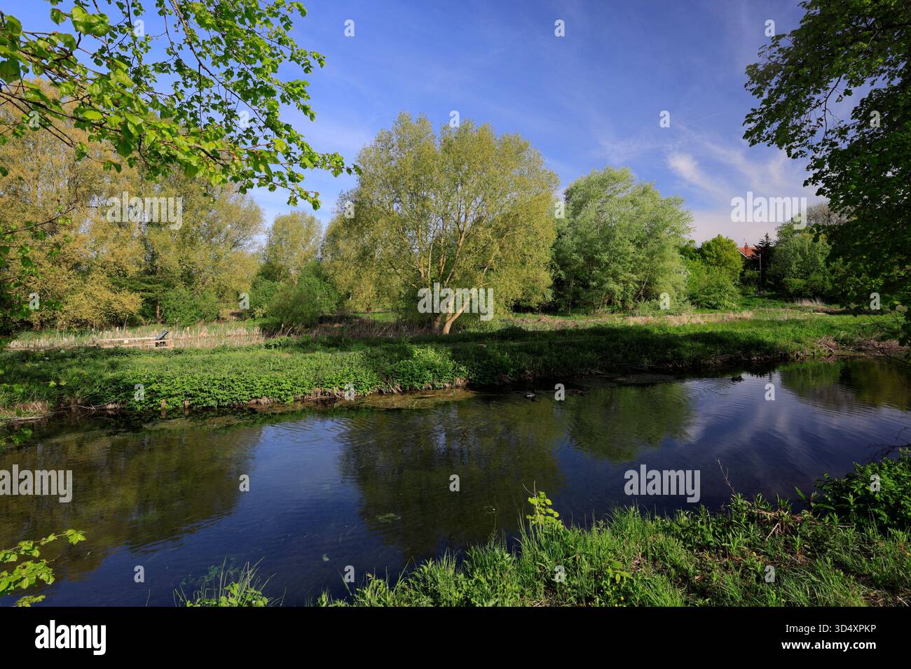 Vista estiva sulla riserva naturale locale di Lollycocks Field, Sleaford Town, Lincolnshire, Inghilterra, Regno Unito Foto Stock
