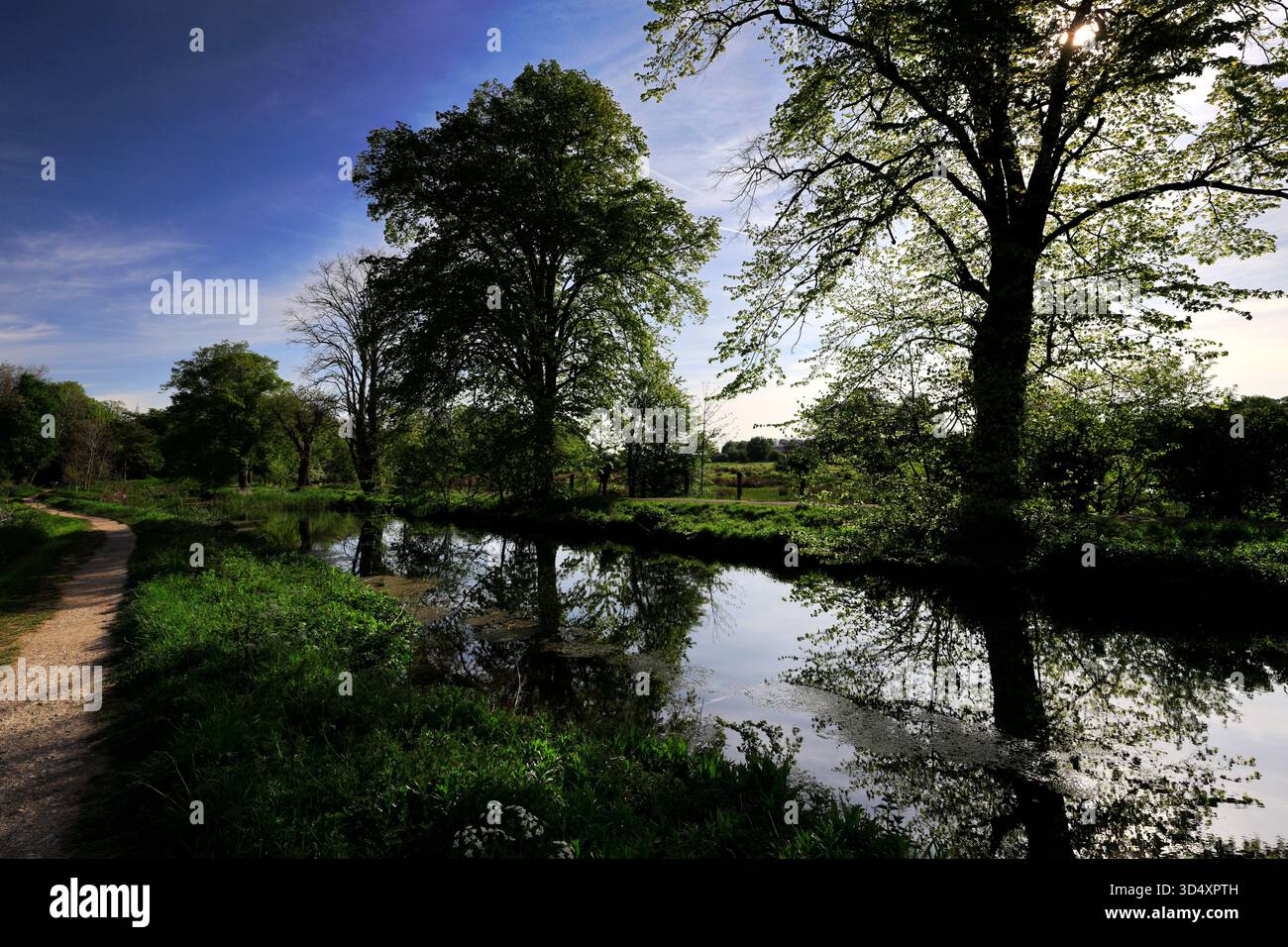 Vista estiva del fiume Slea, Sleaford Market Town, Lincolnshire, Inghilterra, Regno Unito Foto Stock