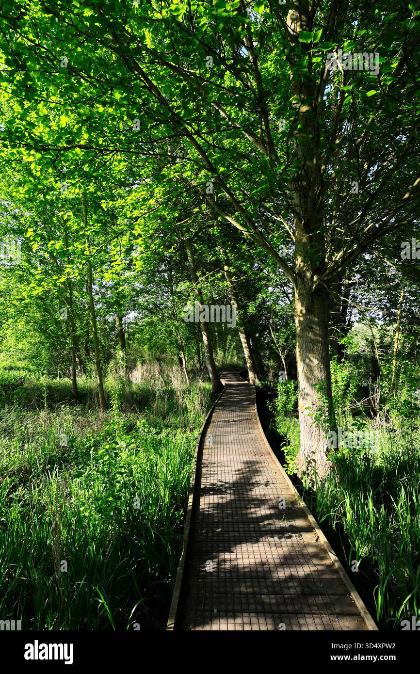 Vista estiva sulla riserva naturale locale di Lollycocks Field, Sleaford Town, Lincolnshire, Inghilterra, Regno Unito Foto Stock