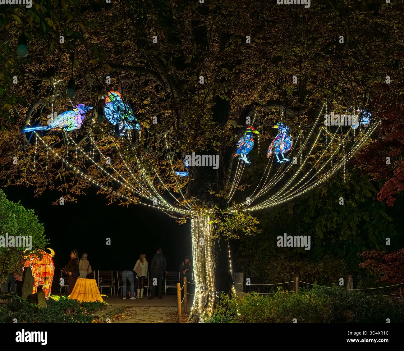 Europa. Budapest, Ungheria. Tradizionale festival delle Lanterne Chinisee nello zoo di Budapest. Il nome ungherese è Lampionfesztival a Fovarosi Allat es novenykert. Foto Stock