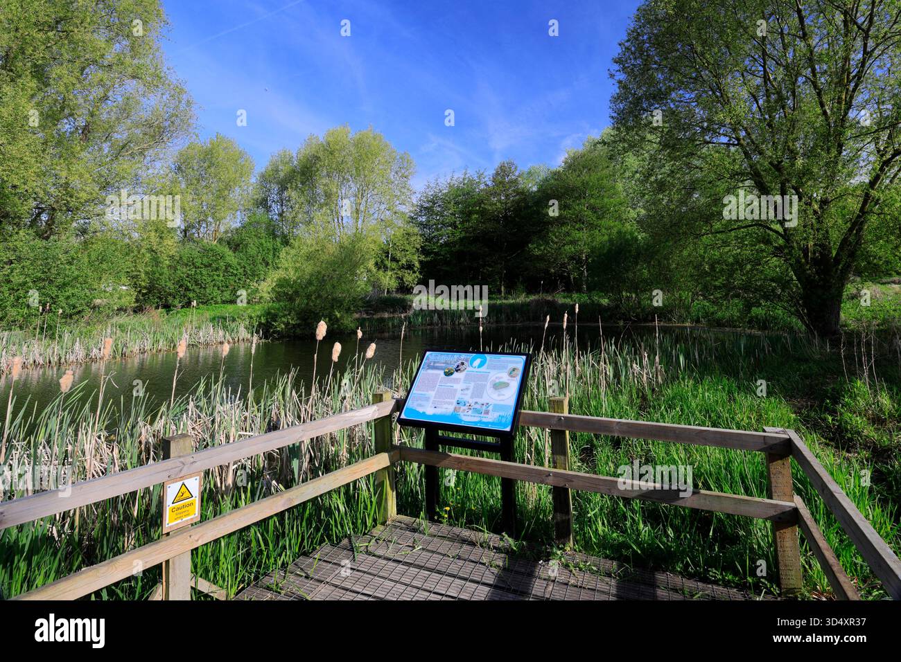 Vista estiva sulla riserva naturale locale di Lollycocks Field, Sleaford Town, Lincolnshire, Inghilterra, Regno Unito Foto Stock