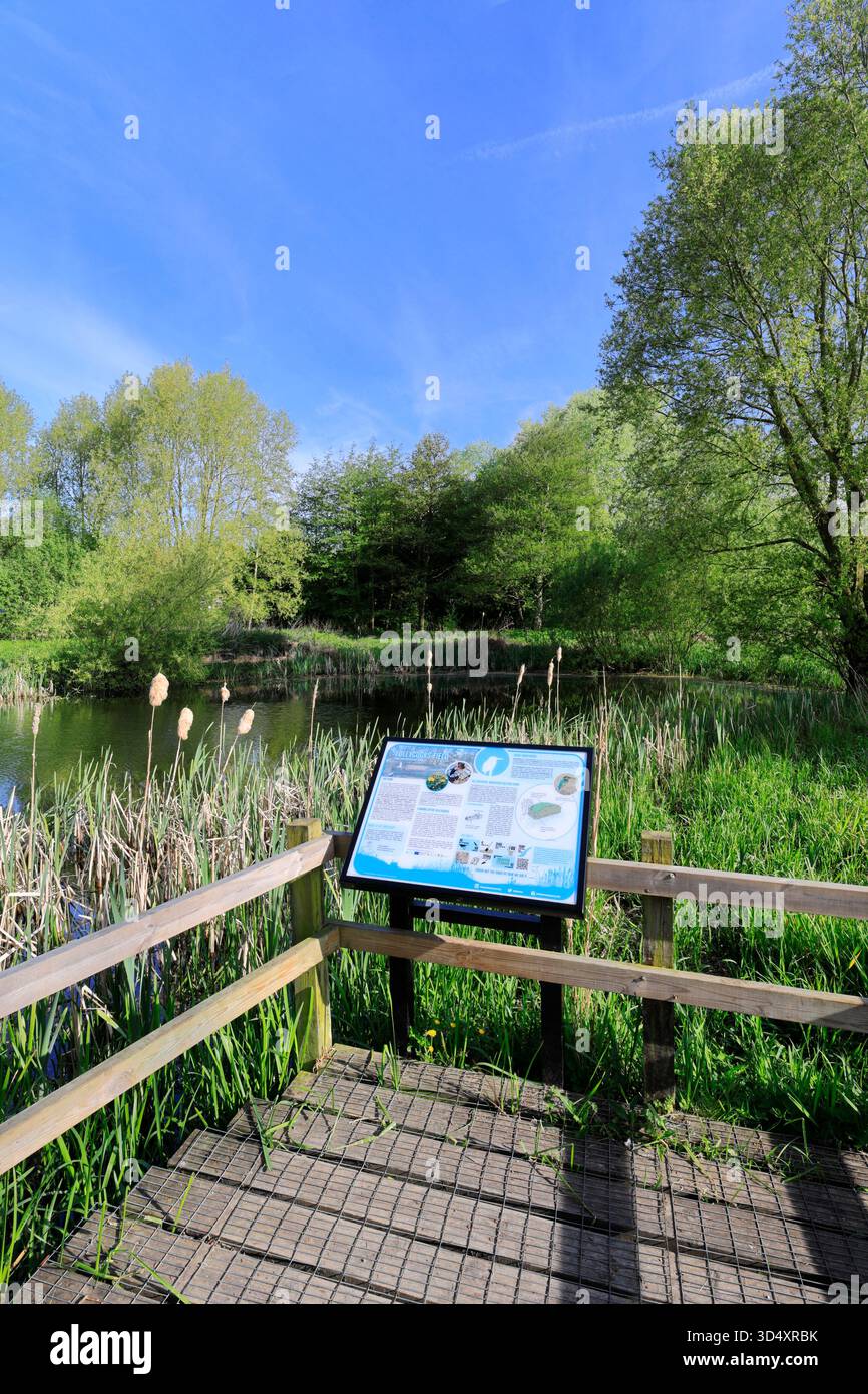 Vista estiva sulla riserva naturale locale di Lollycocks Field, Sleaford Town, Lincolnshire, Inghilterra, Regno Unito Foto Stock