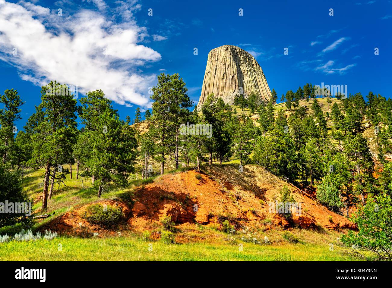 Vista del Devils Tower National Monument nel Wyoming. Terra rossa brillante e una pineta sono in primo piano, sotto un cielo blu profondo con nuvole Foto Stock