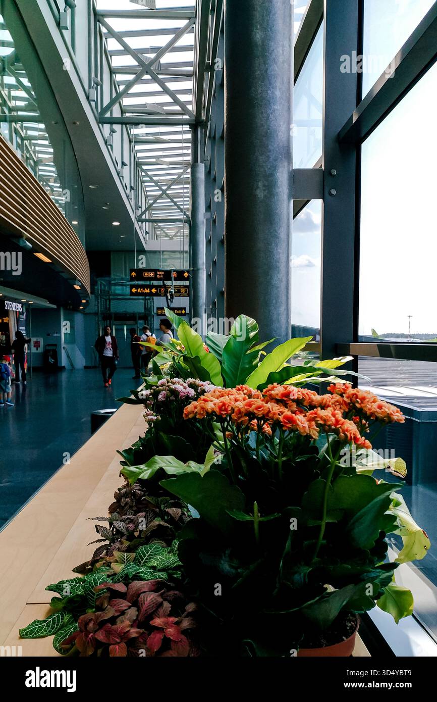 Riga, Lettonia - 19 agosto 2018 - interni moderni dell'aeroporto con fiori vivaci e passeggeri in transito. Foto Stock