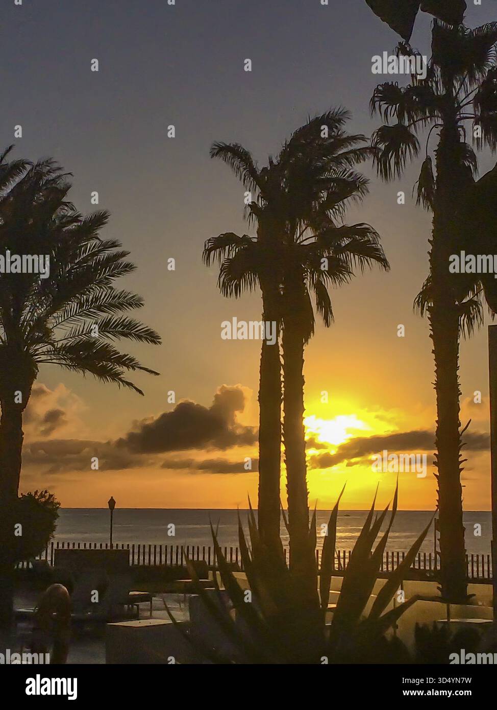 Vista attraverso le palme al tramonto sul mare calmo ai tropici di fronte alla terrazza sul mare, internazionale Foto Stock
