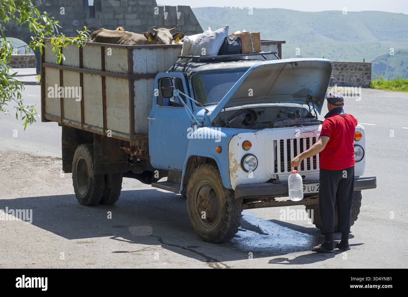 Man ripara un camion blu su una strada panoramica, GAZ-53 carico di mucche, Goris, provincia di Syunik, Syunik, Caucaso, Armenia Foto Stock