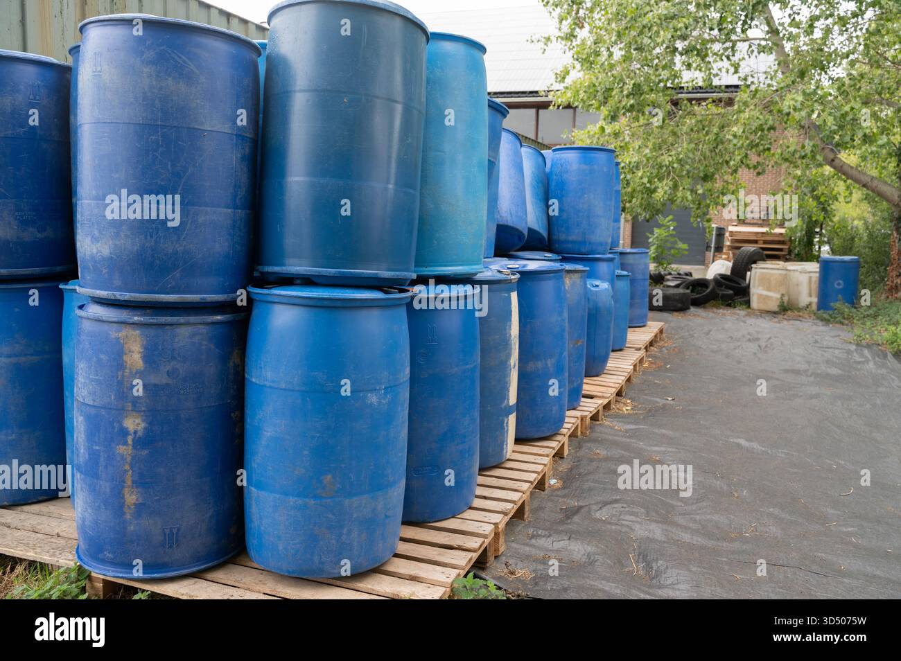 barili blu impilati nel capannone del magazzino del cantiere che ispeziona i fusti vuoti per verificarne l'inventario e la sicurezza, pallet rivestiti su asfalto, superfici in plastica usurate con s. Foto Stock