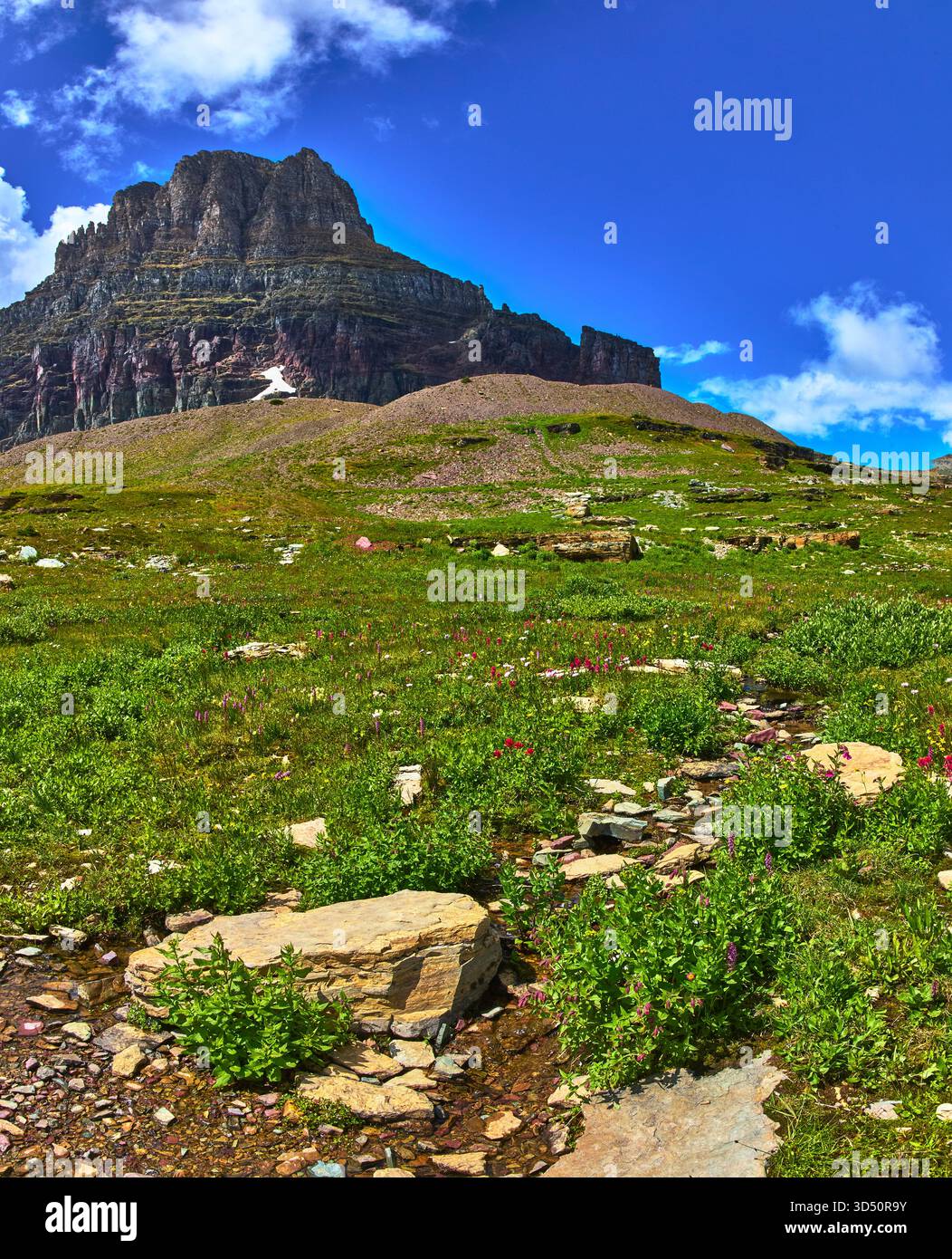 Mountain Peak Wildflower Meadow and Stream nel paesaggio estivo Foto Stock