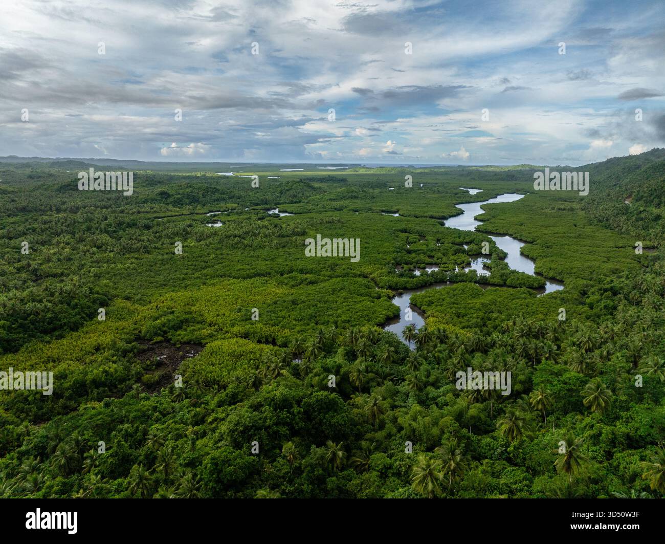 Fitta foresta di mangrovie con tortuosi canali fluviali e vegetazione verde sotto il cielo nuvoloso. Siargao, Filippine. Foto Stock