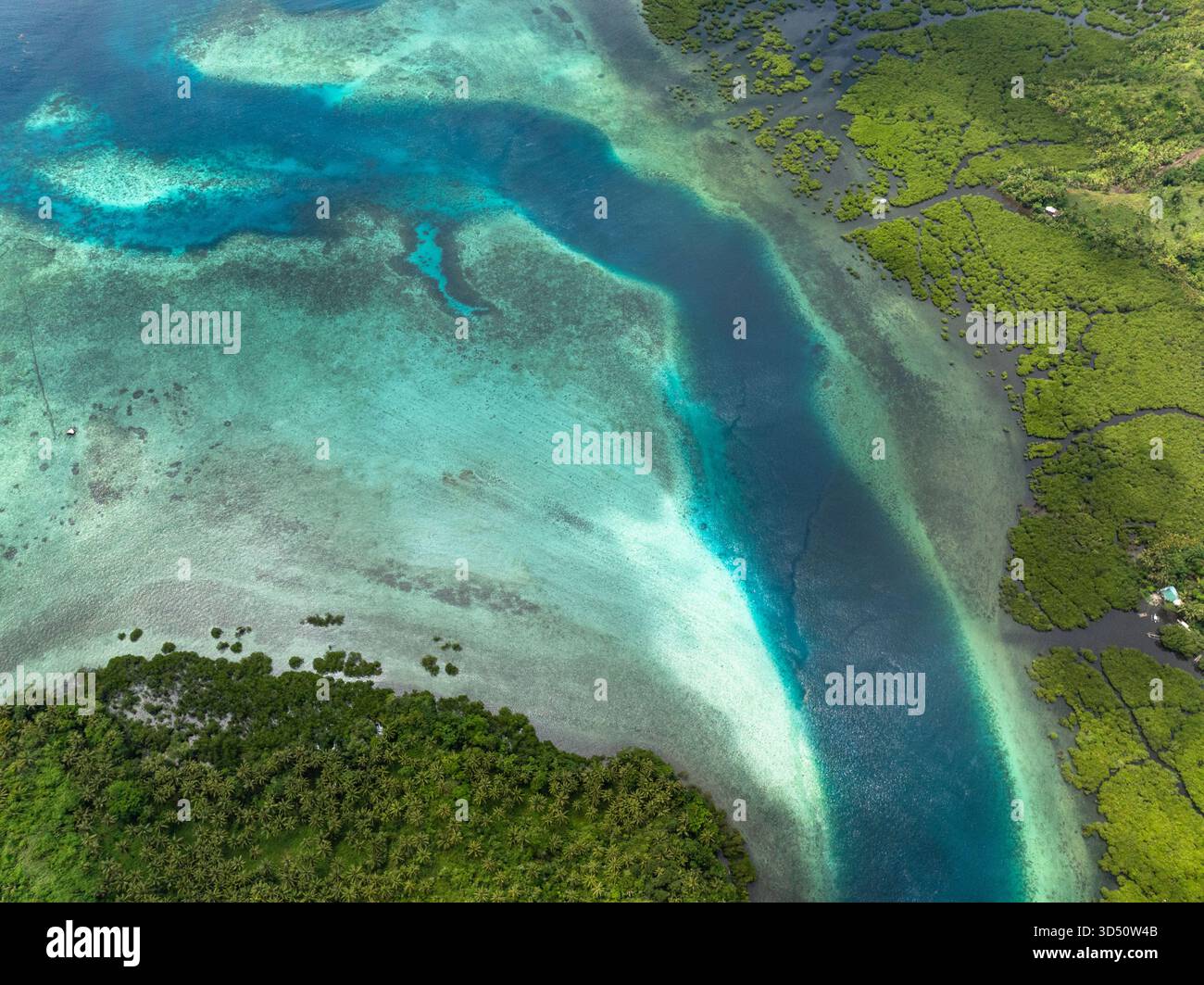 Laguna turchese con mangrovie, scogliera poco profonda e acque limpide della costa. Siargao, Filippine. Foto Stock