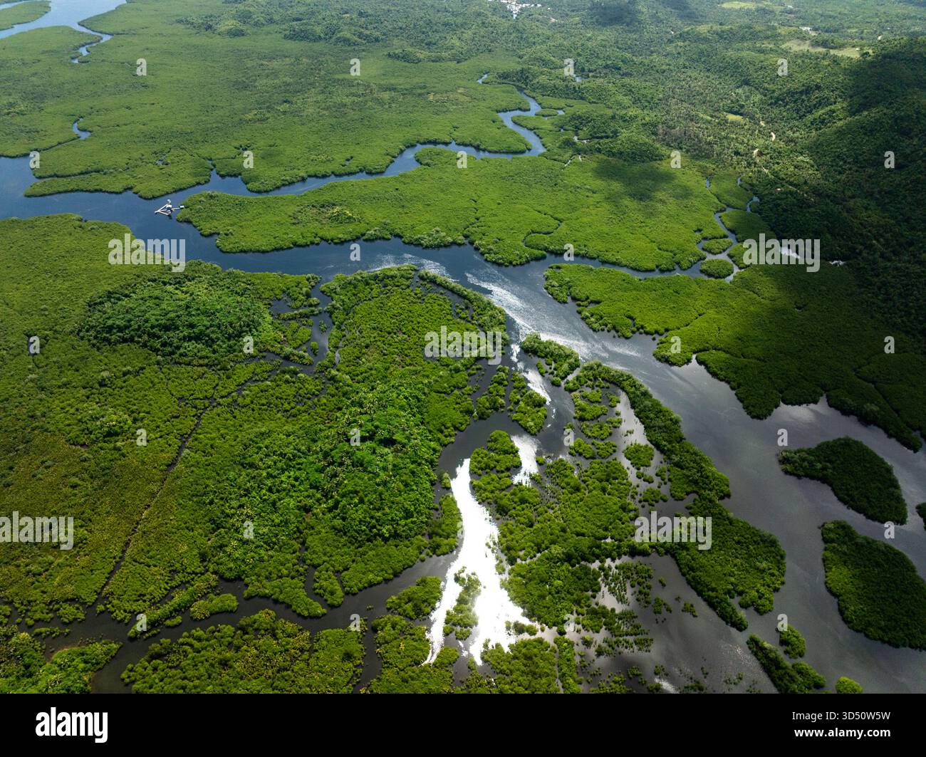 Foresta di mangrovie con tortuosi canali fluviali che scorrono attraverso una fitta vegetazione verde. Siargao, Filippine. Foto Stock