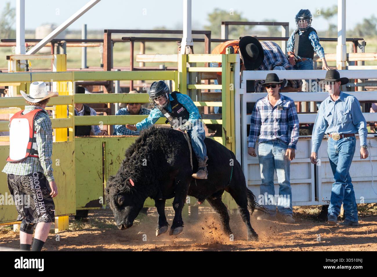 Bull Riding, Stonehenge, Queensland, Australia Foto Stock