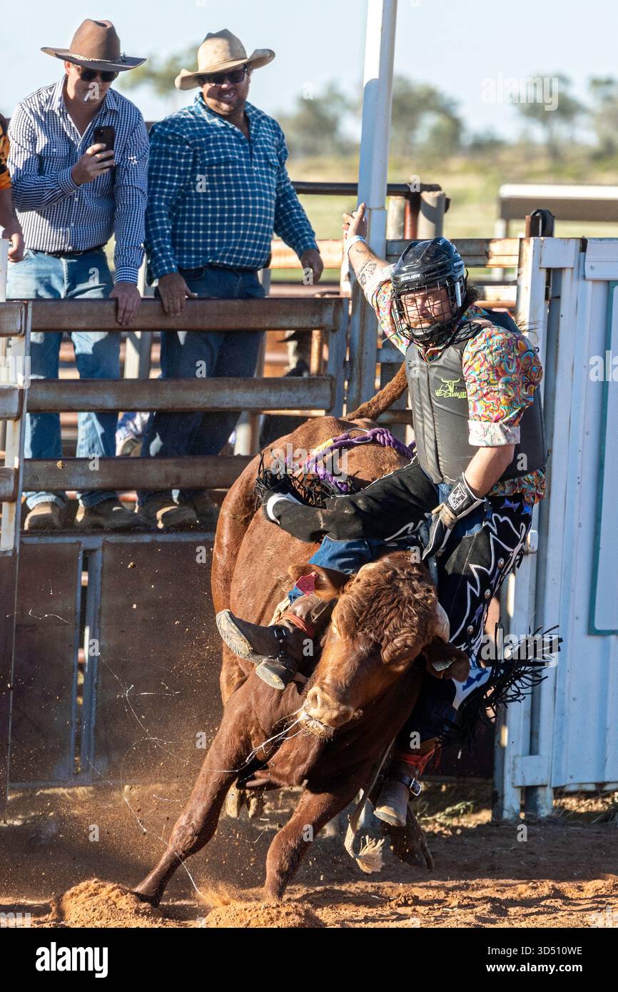 Bull Riding, Stonehenge, Queensland, Australia Foto Stock