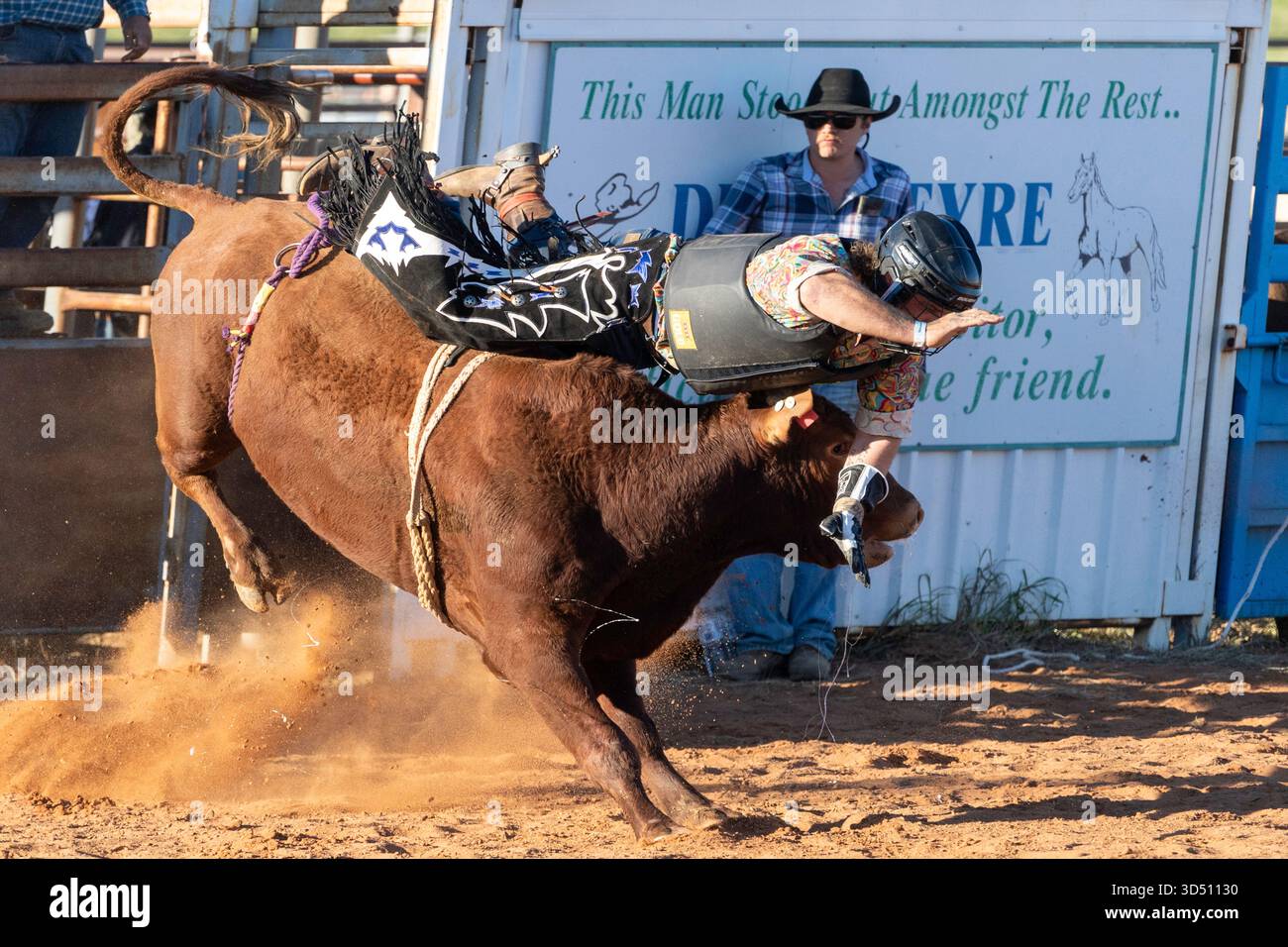 Bull Riding, Stonehenge, Queensland, Australia Foto Stock
