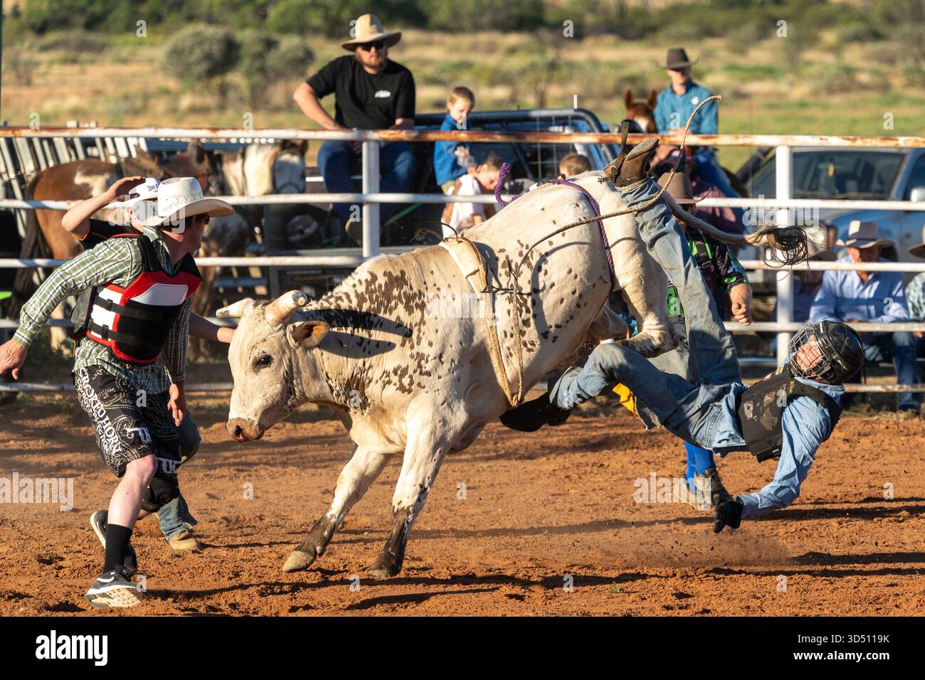 Bull Riding, Stonehenge, Queensland, Australia Foto Stock
