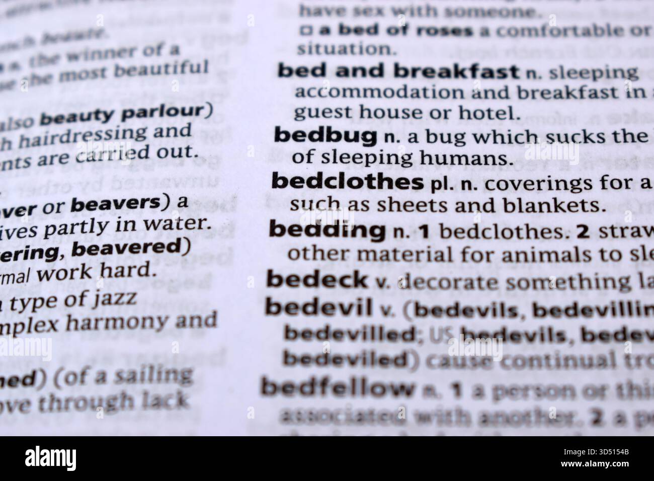 Primo piano della pagina del dizionario inglese con Word - Bedding Foto Stock